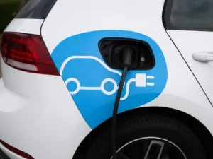 Imagem ilustrativa. Crédito; Divulgação/ABVE.