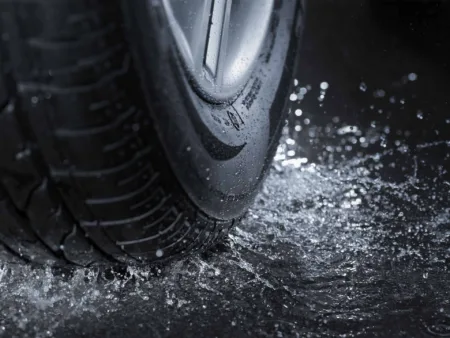 Crédito: Stocksnapper/Shutterstock.com.